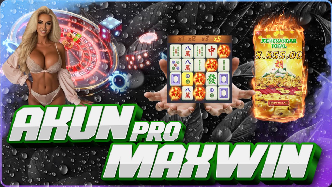 Akun Pro Maxwin