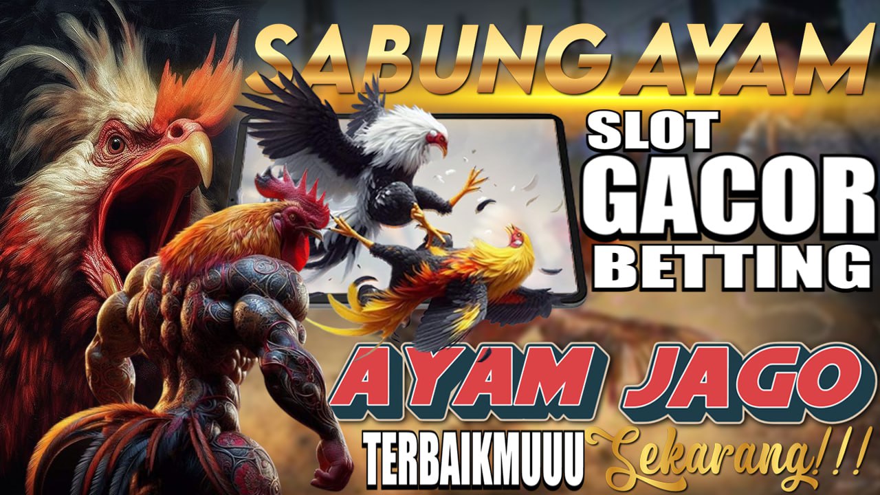 Sabung Ayam Online: SLOTGACOR4D Tempatnya Main Sabung Ayam